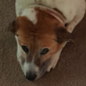 Meet your Posher, Zoey